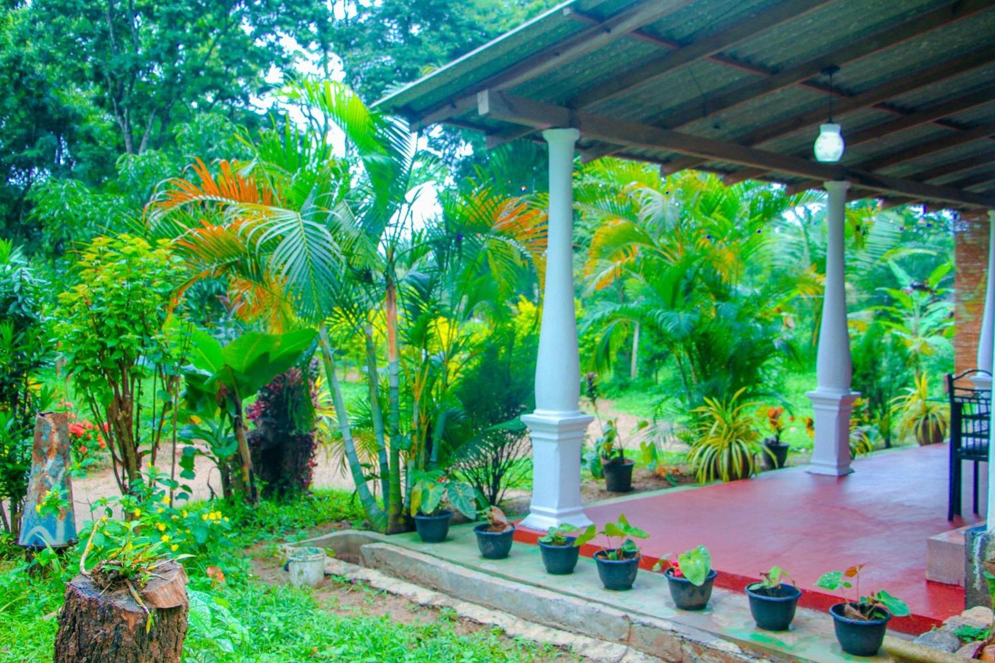 Chanaka Holiday Inn Sigiriya Bagian luar foto