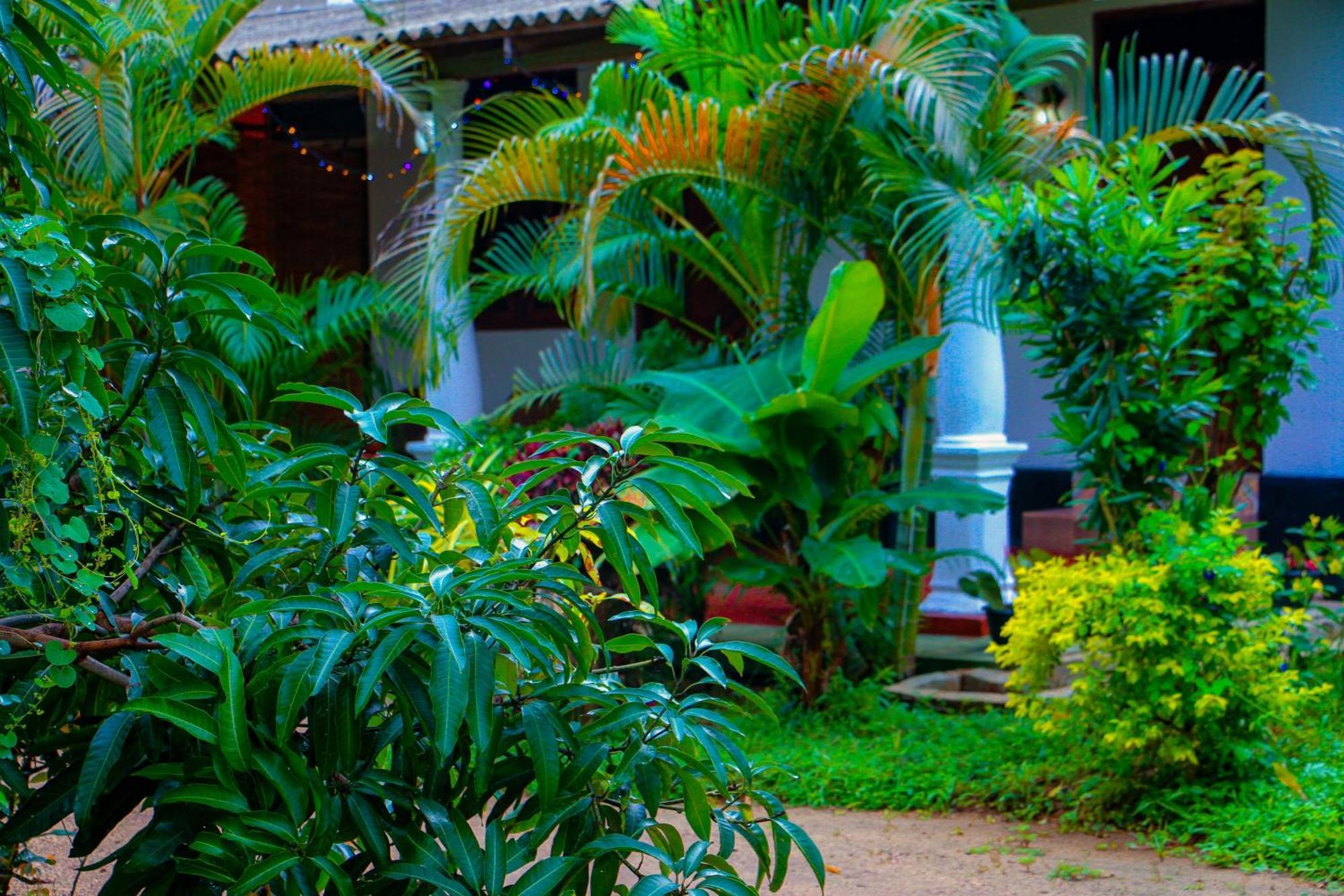 Chanaka Holiday Inn Sigiriya Bagian luar foto