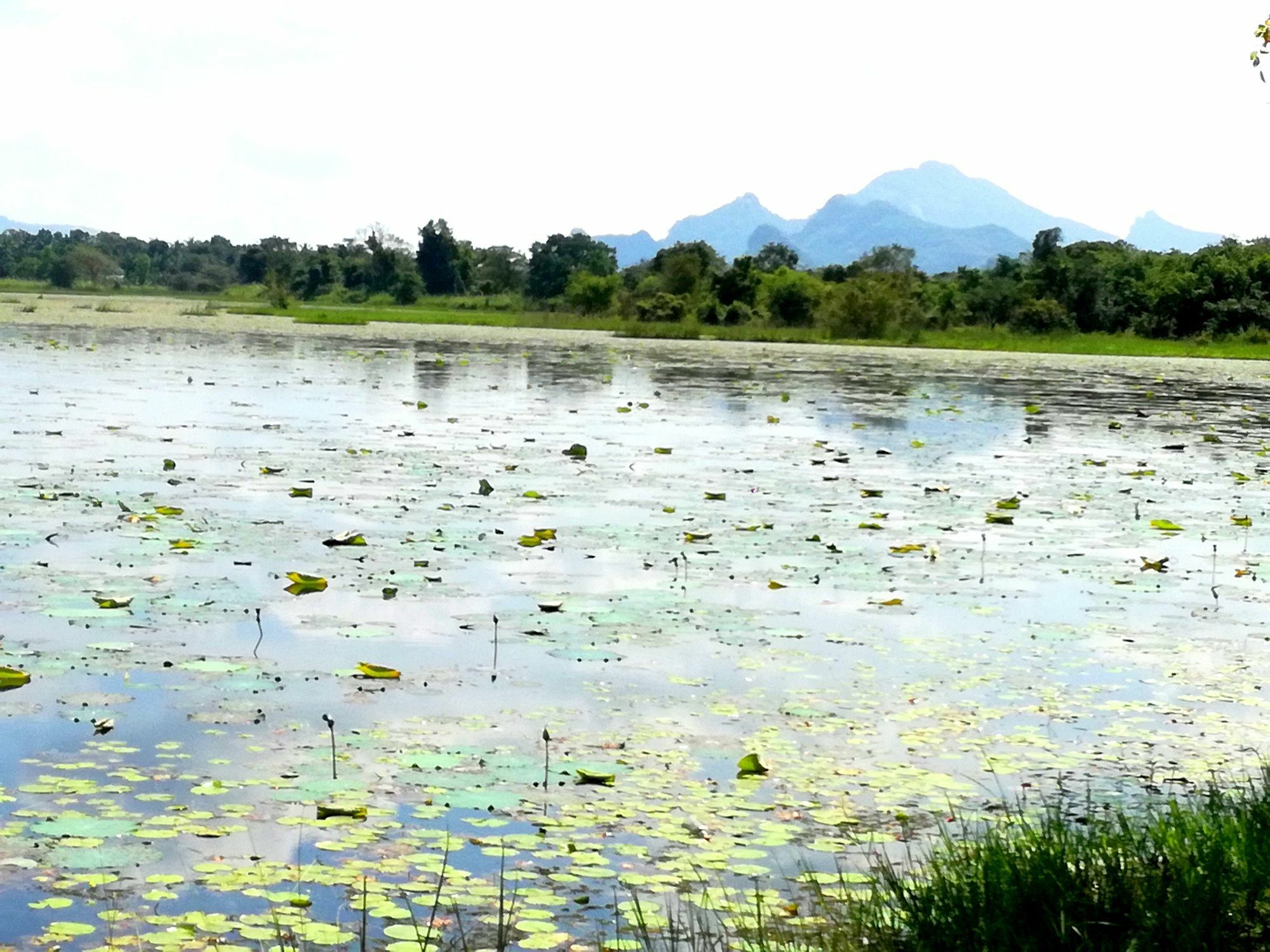 Chanaka Holiday Inn Sigiriya Bagian luar foto